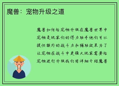 魔兽：宠物升级之道